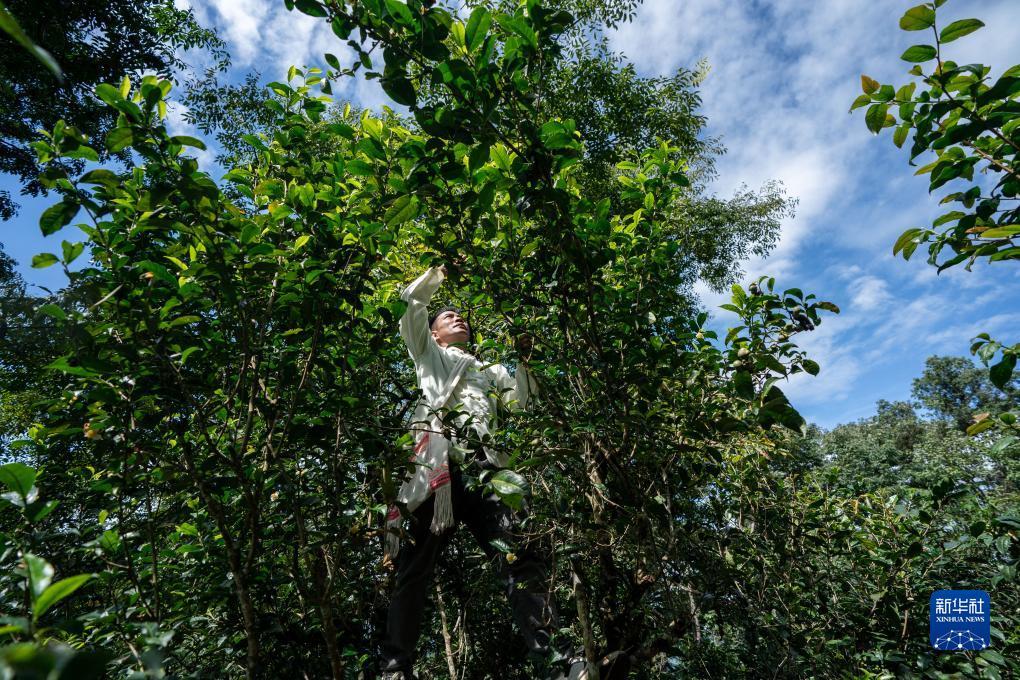 捕鱼游戏赚钱换人民币是真的
